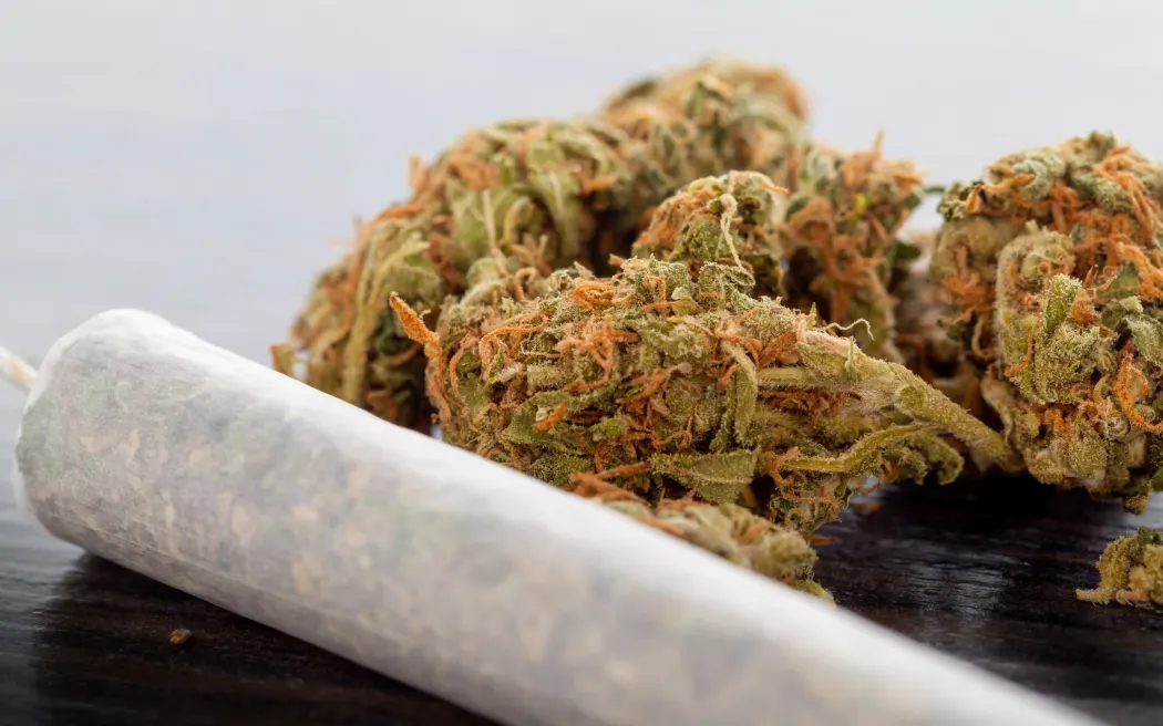 Buy Marijuana Online Europe – Premium Euro Weed Strains, THC:CBD Oils & Fast EU Shipping