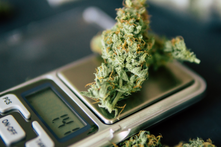 Buy Marijuana Online Australia – Weed Man Dispensary: Premium Weed Strains, Cannabis Oil &amp; Vape Cartridges Delivered 24/7