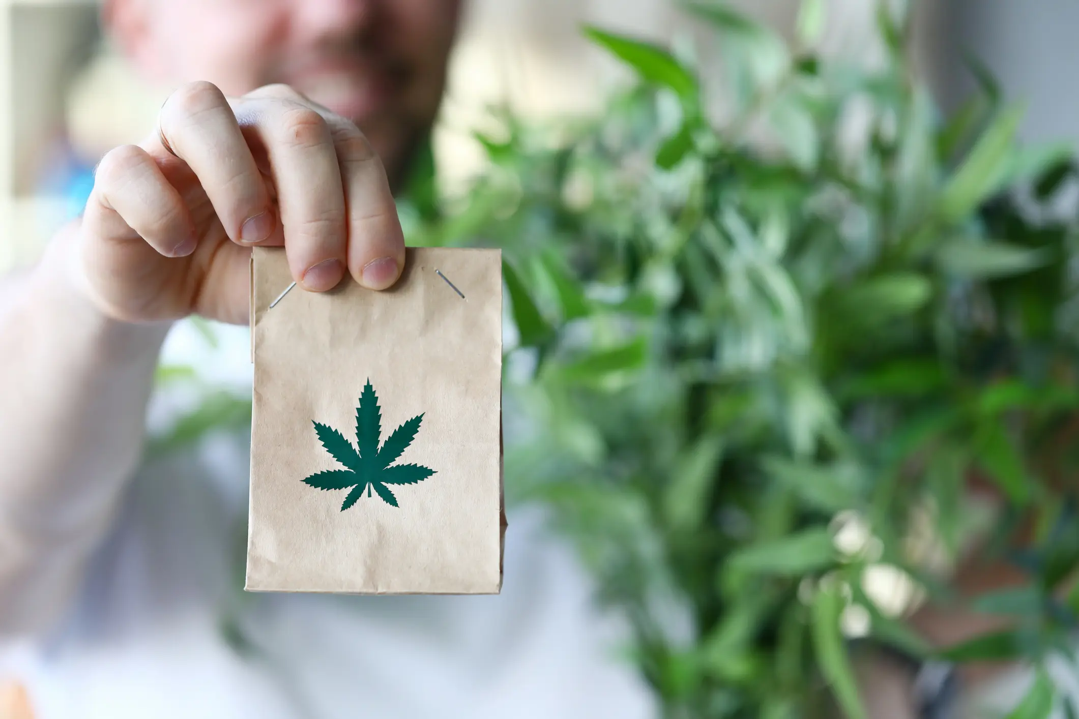 Why DC Can’t Stop Talking About Same‑Day Weed Delivery